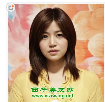 网站在线观看日韩的海报图片